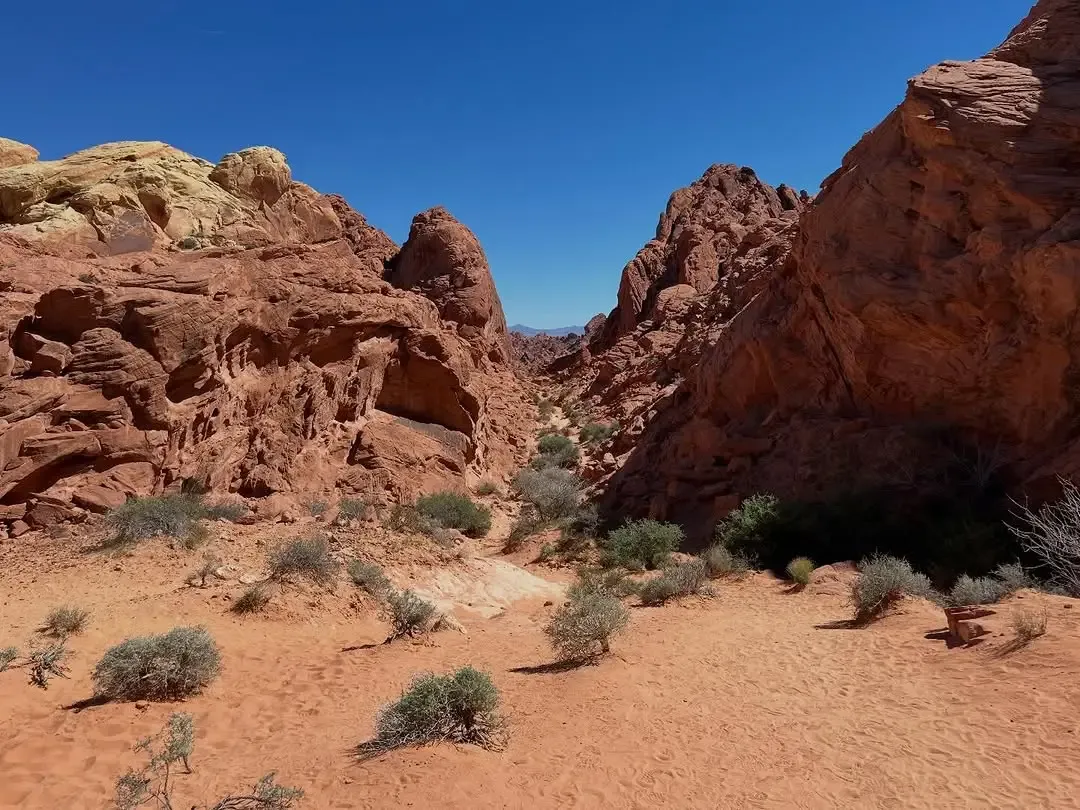 Sandy wash between red and white sandstone walls in Valley of Fire State Park on a tour from Las Vegas, Nevada